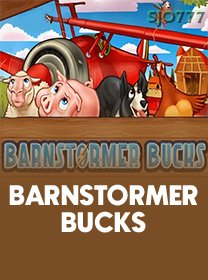 Barnstormer Bucks